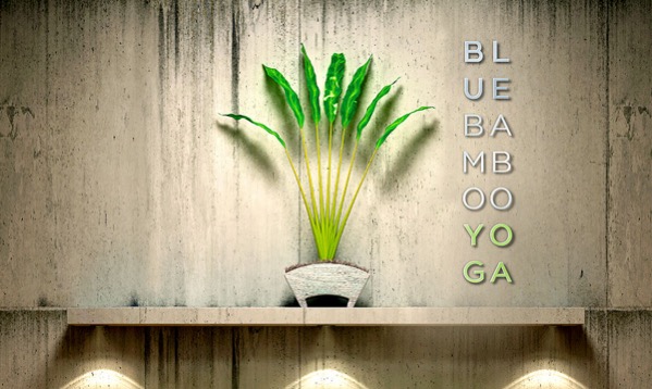 An example of incorporating interior space into a brand’s image (Blue Bamboo Yoga).